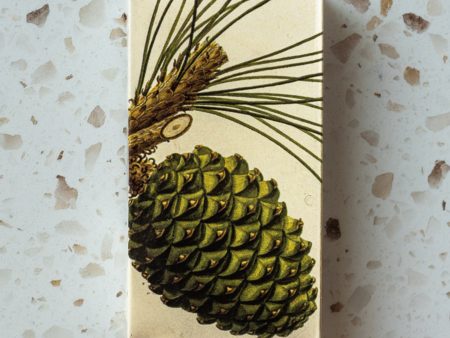 Matches Pinecones Online now