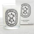 Diptyque Gardenia Candle (6.5oz) Hot on Sale